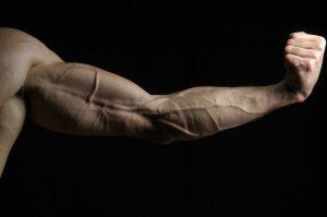outstretched arm muscles flex