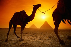 Egypt Pyramids Camels Desert