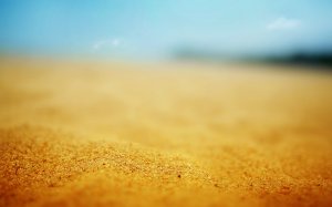 sand beach closeup