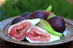 ripe delicious figs